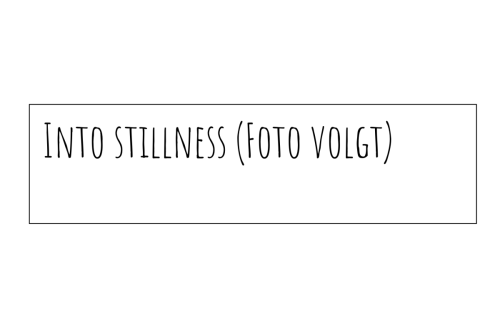 Into Stillness