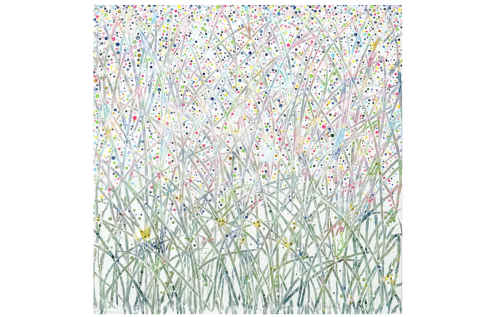 Field of Joy